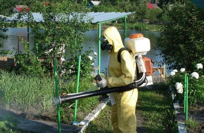 Уничтожение клещей